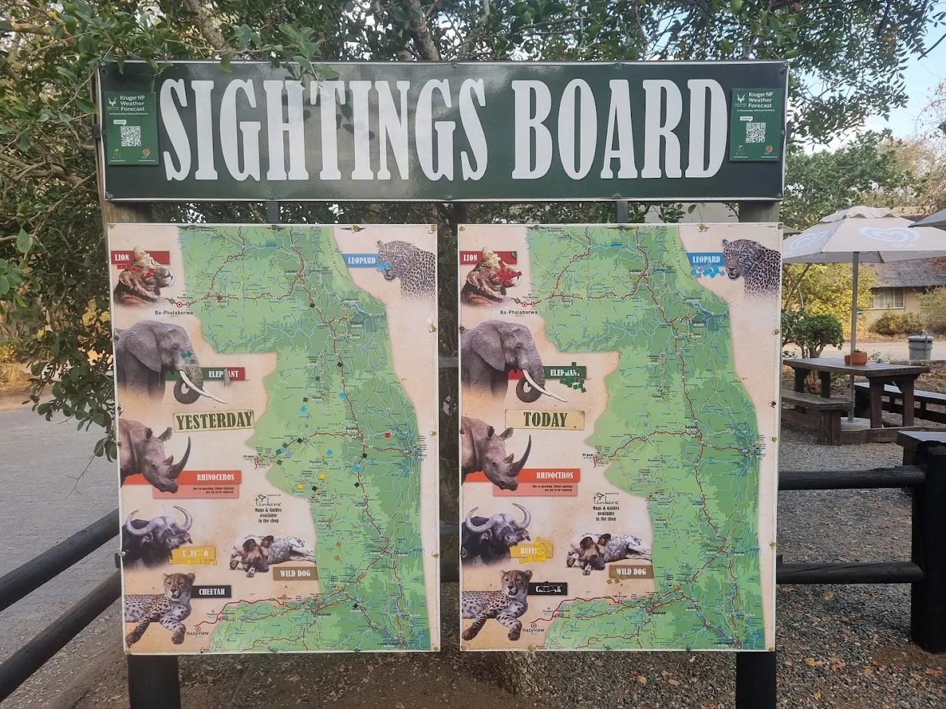 Kruger National Park Tour